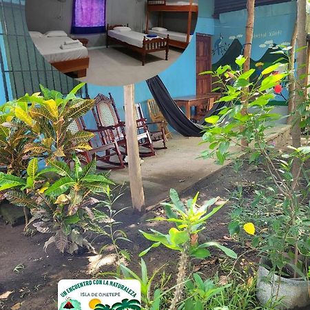 Hostal Xilotl San Jose del Sur Ngoại thất bức ảnh
